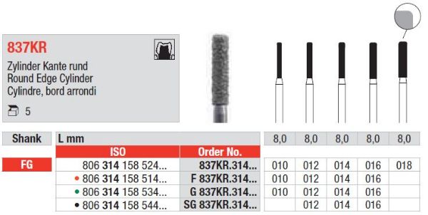 Diamant bor G837KR FG 010