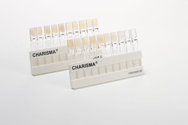 Charisma  Fargeskala 66061391