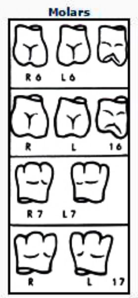 Pella Odus kroner nr.6