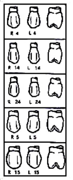 Pella Odus kroner nr.14