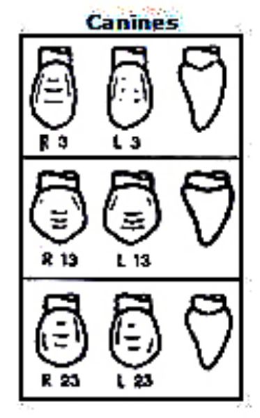 Pella Odus kroner nr.23