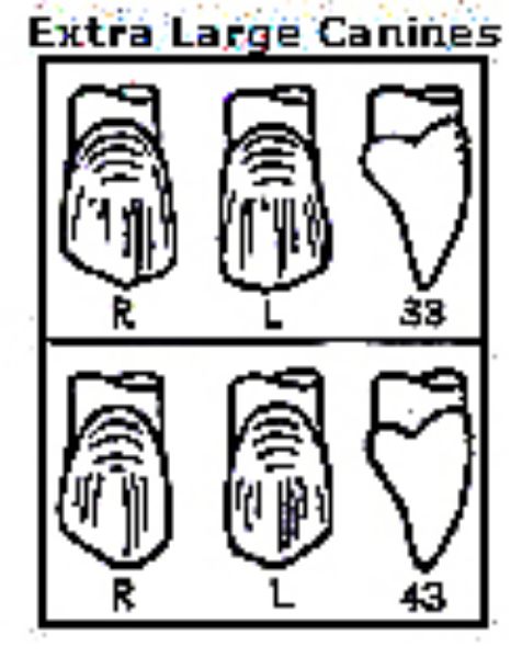 Pella Odus kroner nr.33