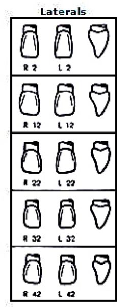 Pella Odus kroner nr.42
