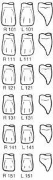 Pella Odus kroner nr.141