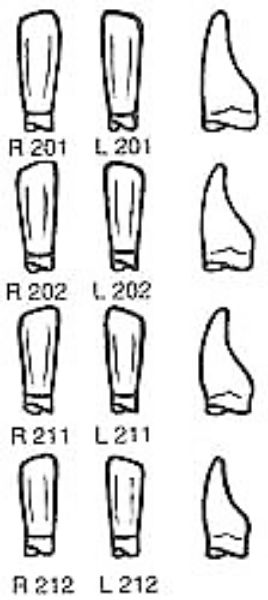 Pella Odus kroner nr.202