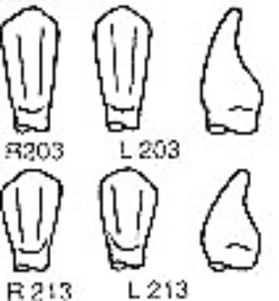 Pella Odus kroner nr.203