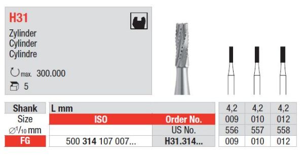 Hardmetall Sylinder H31 FG 010