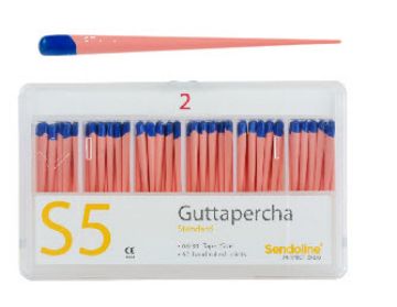 S5 Guttapercha points nr.2 Taper 0,6  3483030