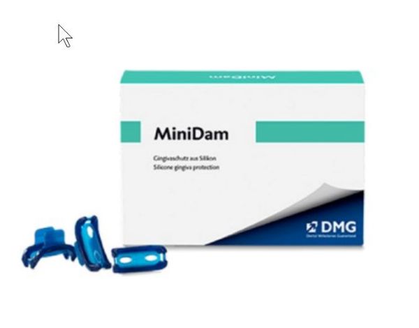 DMG MiniDam