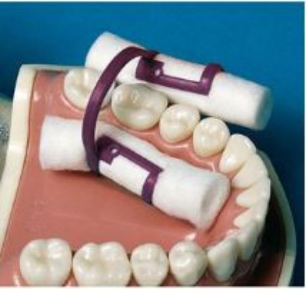 Cotton roll holder plastic 605350