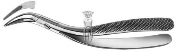 CM Extracting tang Witzel upper large  406