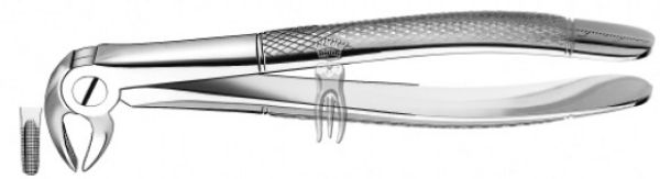 CM Extracting tang UK front premolar large 13