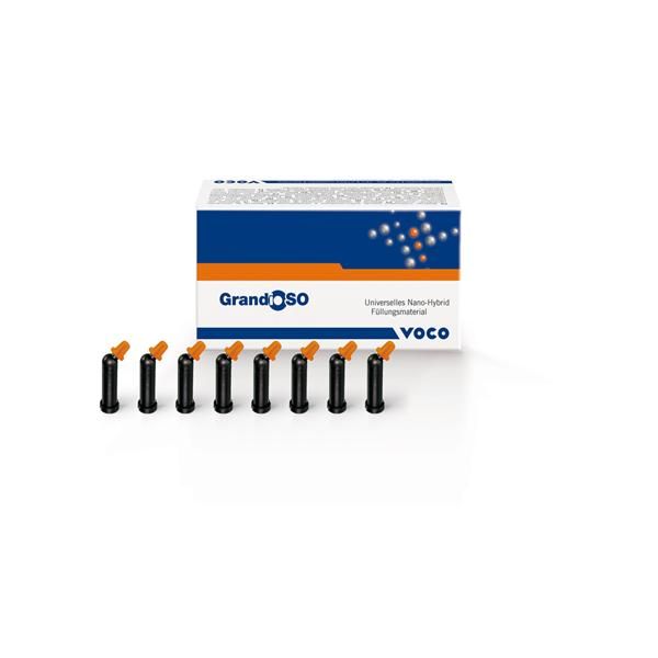 Grandio SO  Inzisal 2669