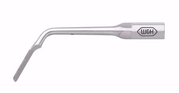 W&H piezonscaler Tip 2R endo 06368400 