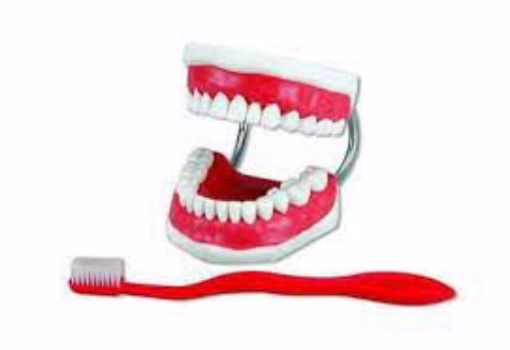 Tannbørste model 355636