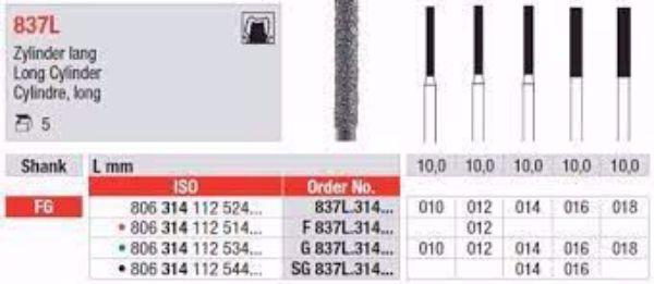 Diamant bor G837L FG 018