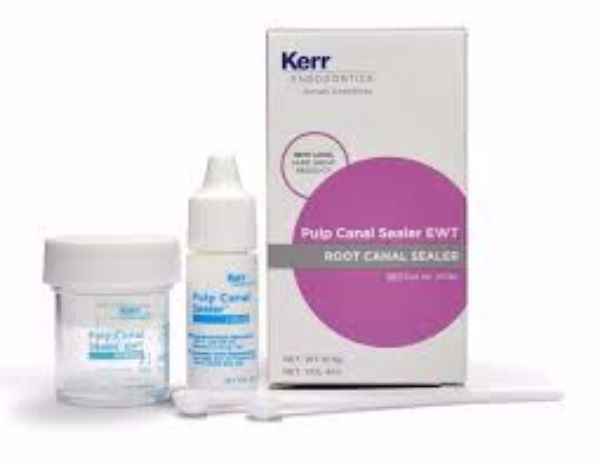 Pulp Canal Sealer EWT 24746