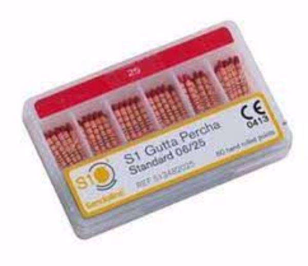 S1 Gutta Percha Standard 06/25 