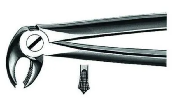 CM Ekstraksjonstang small M2022, 1stk lower molars