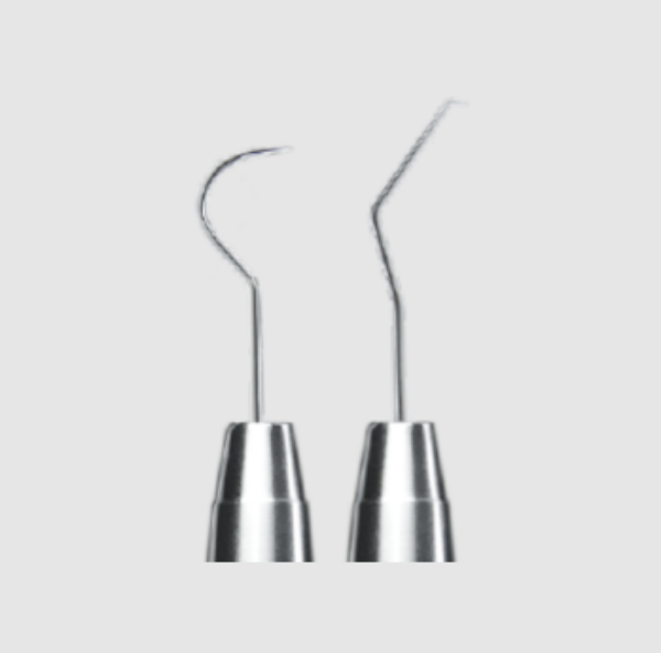 CM Tannsonde LS Passion, 1 stk, LSP1081/EXD5