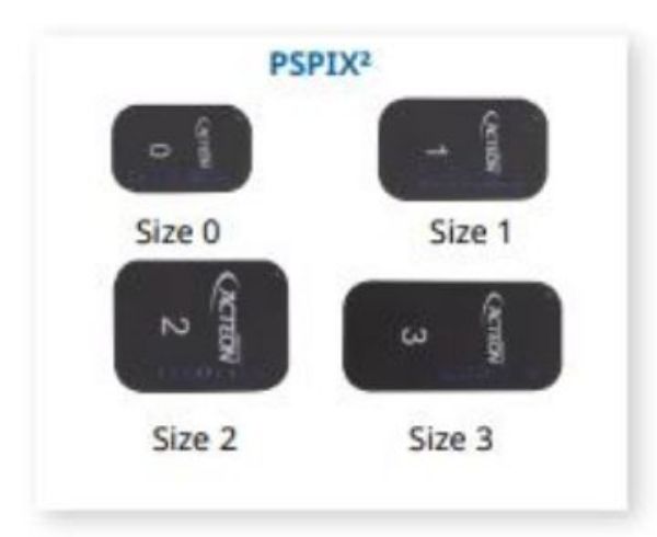 Dexis Fosforplate IDOT str 0, 900483-PTU, 6 stk, 22 x 31mm