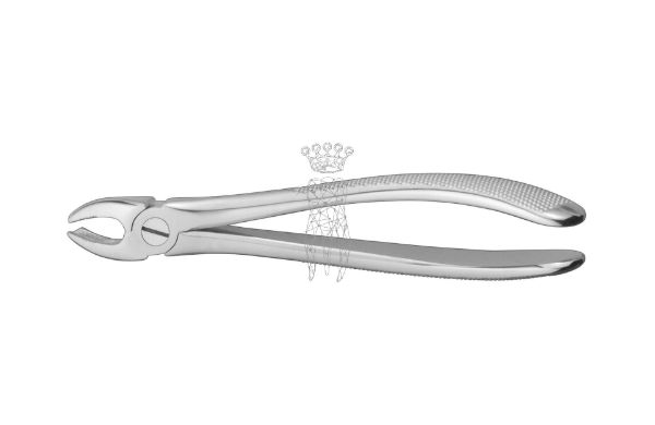 CM Ekstraksjonstang, friction grip. UK, molar, høyre, 1 stk, X17